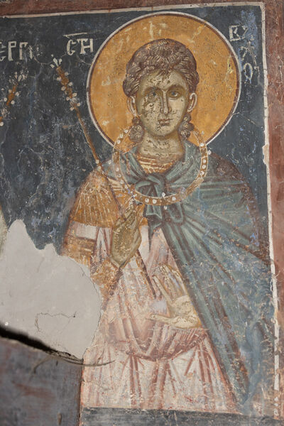 St. Bacchus