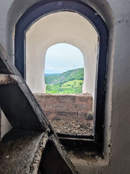 View form the bell tower