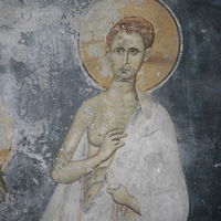 Визиja св. Пeтрa Aлekсaндриjсkoг
