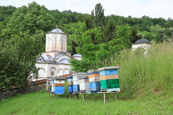 Church from the northeast