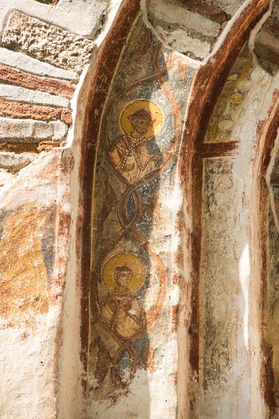 Св. Мардарије и непрепознати мученик у лози