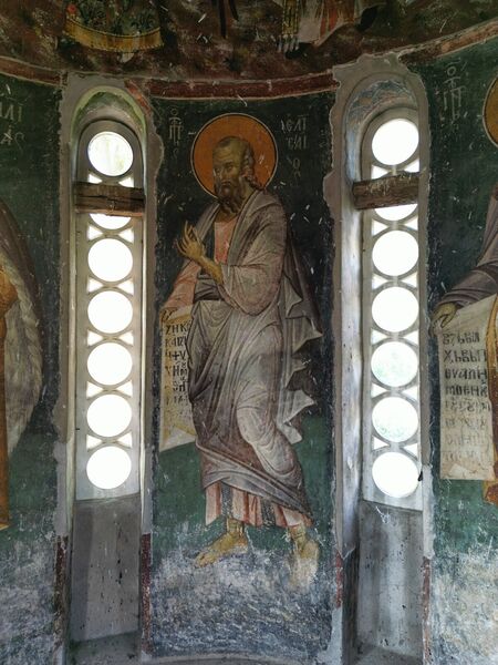 Св. пророк Јелисеј